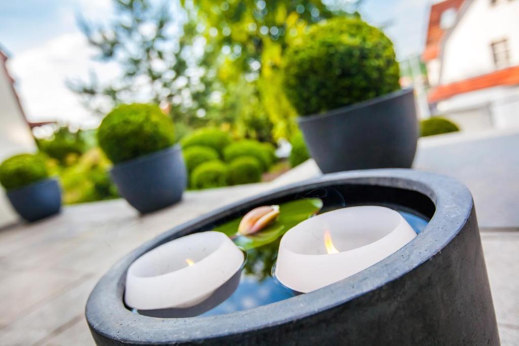 Boutique-Hotel Villa Anna Eisenach Eksteriør bilde