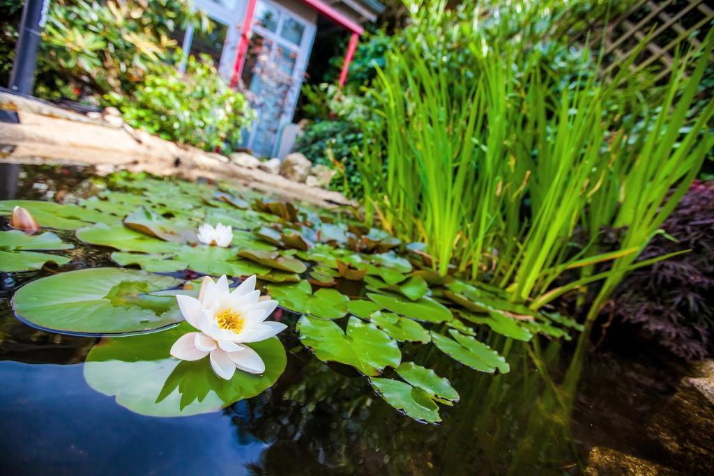 Boutique-Hotel Villa Anna Eisenach Eksteriør bilde