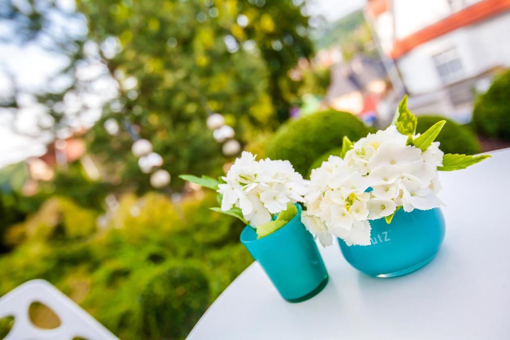 Boutique-Hotel Villa Anna Eisenach Eksteriør bilde
